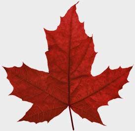 Apply for Canadian Citizenship - Adopted Person (CIT 0010)