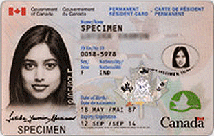 Replace or Renew a Permanent Resident Card (PR Card) Replace or Renew a Permanent Resident Card (PR Card)