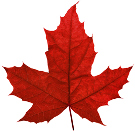 Permanent Resident Card Application